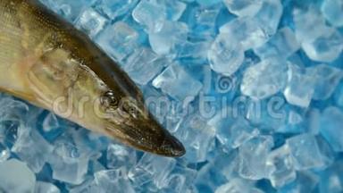 转盘上的冰里有鱼刺。
